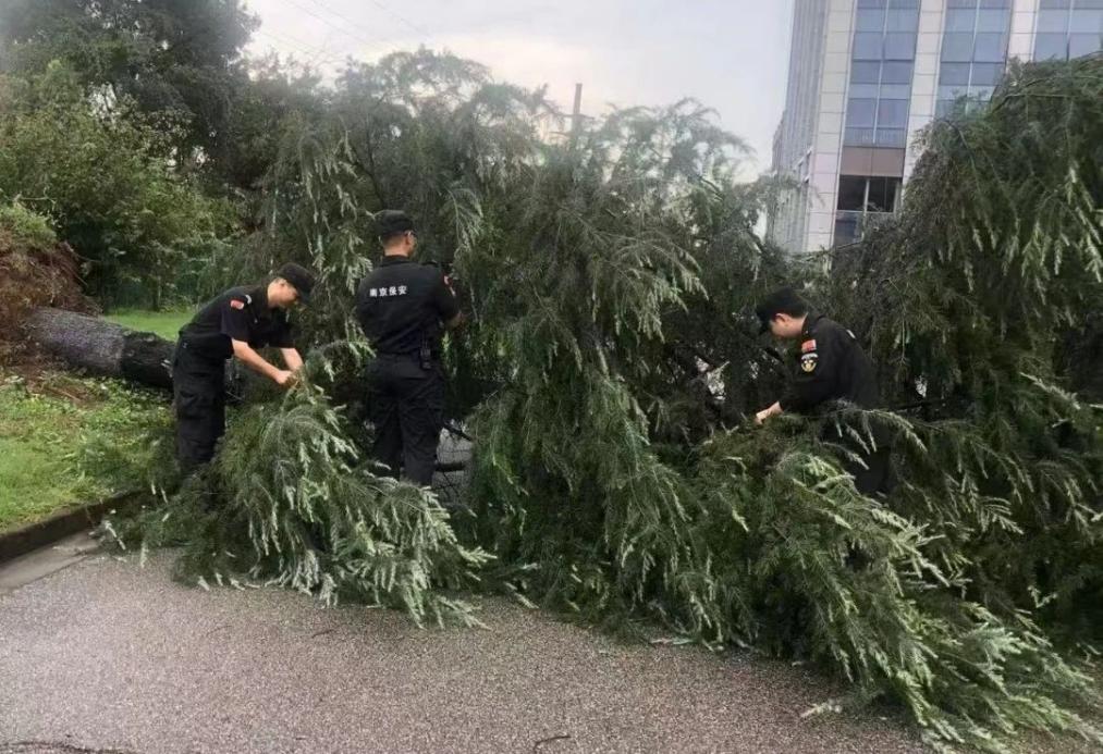 C:/Users/BA/Desktop/風(fēng)雨過后南京保安迅速行動(dòng)，恢復(fù)安“寧”面貌/1.jpg1