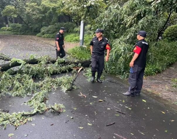C:/Users/BA/Desktop/風(fēng)雨過后南京保安迅速行動(dòng)，恢復(fù)安“寧”面貌/7.jpg7
